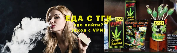 дмт Осинники
