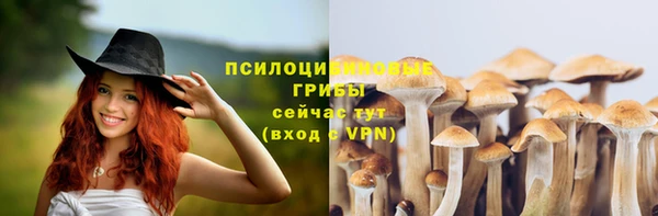 прущий лед Остров