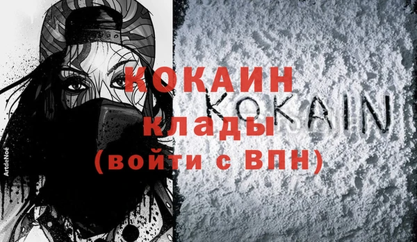 дмт Осинники